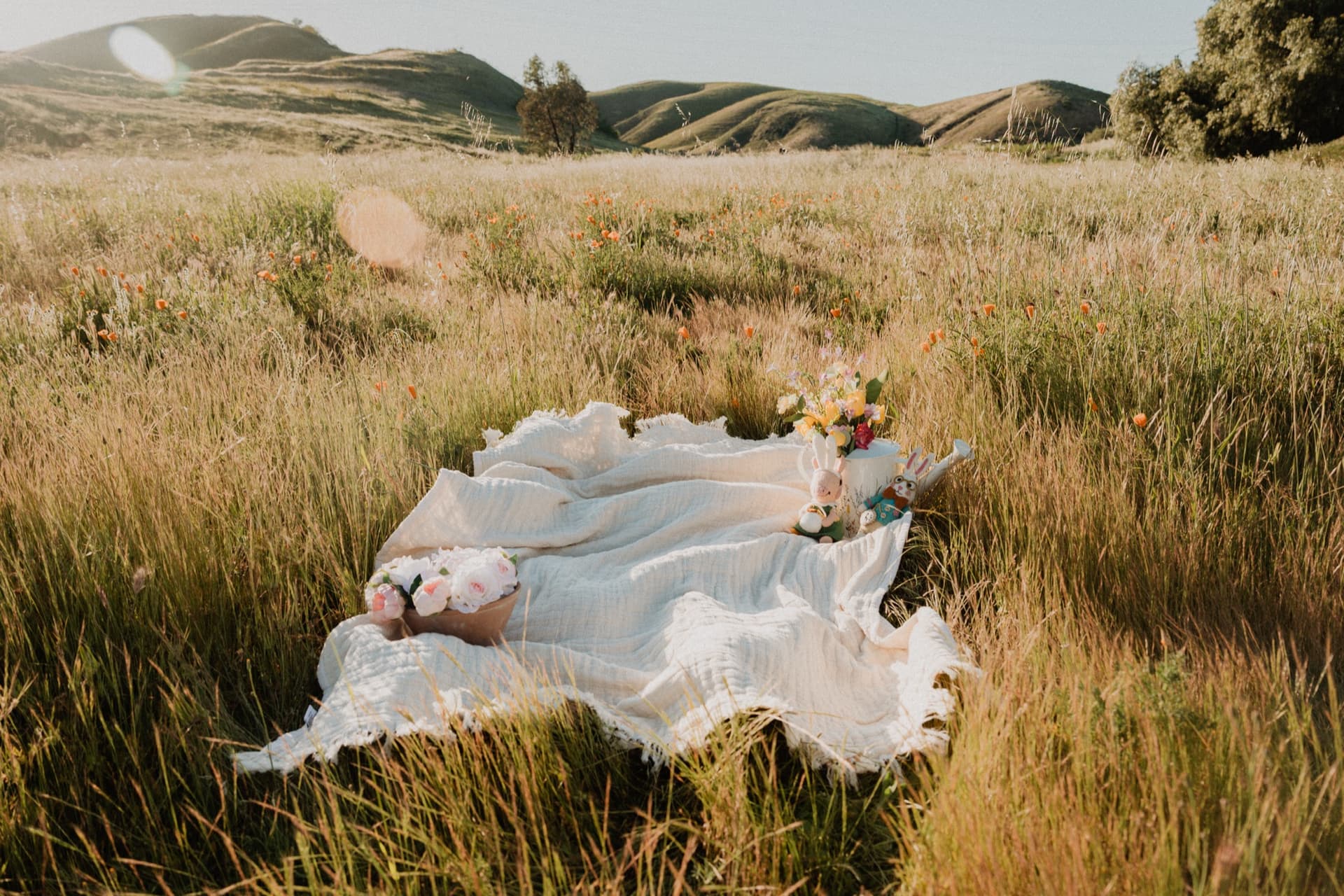 Mini session Tierra y Flor — Yessenia