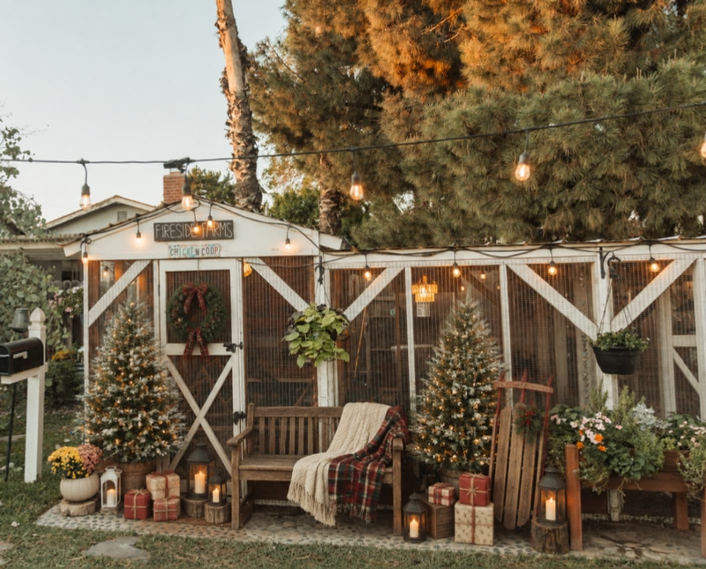 Christmas Minis at Fireside Farm